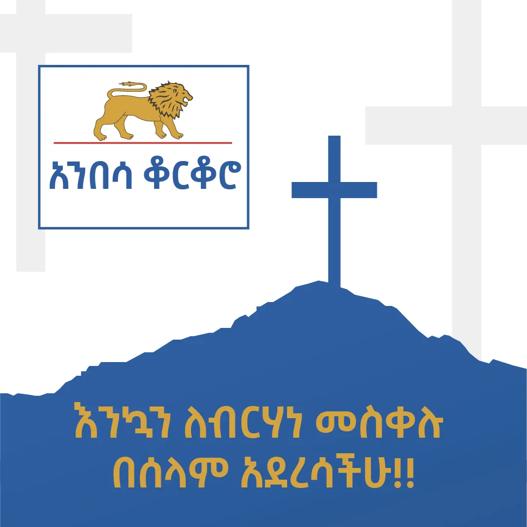 Ethiopian Steel 3